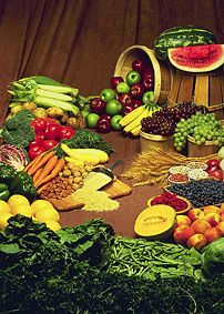Foods from plant sources Foods from plant sources