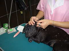A good massage after spa A good massage after spa