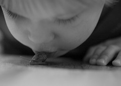 kiss the snail kiss the snail
