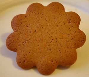 _ginger_bread _ginger_bread