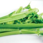 celery