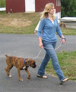 dogwalking21