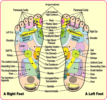 Foot rubs and Feet Massages as Foot Therapy Stress Reducers Foot rubs and Feet Massages as Foot Therapy Stress Reducers