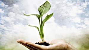 let earth day diet be every day diet let earth day diet be every day diet